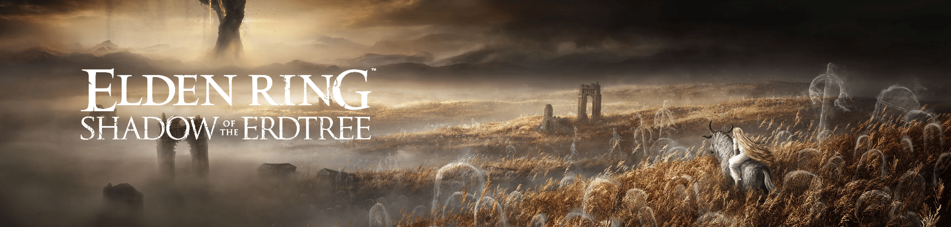 Elden Ring DLC might be coming soon